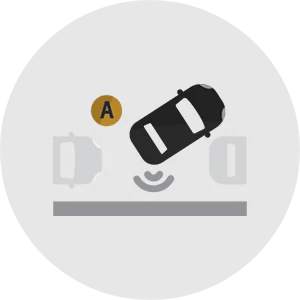 (Available) Automatic Parking Assist